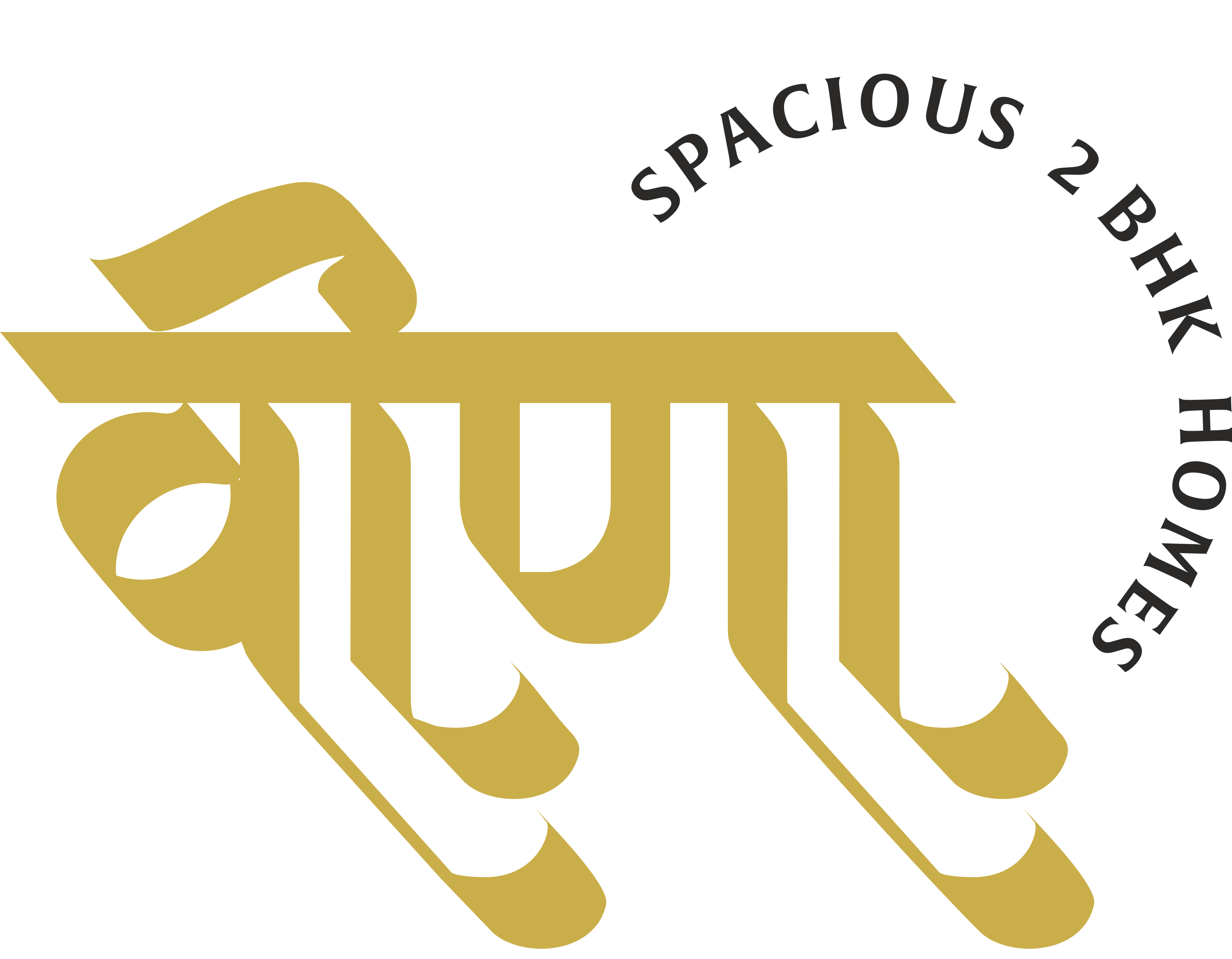 VEENA Logo